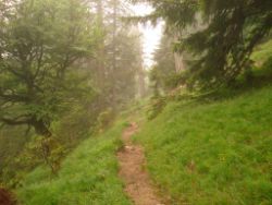 2013-06-22_Hirschhoerndl_Jochberg (160).JPG